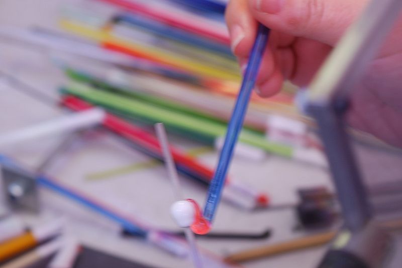 Datei:Aufschlurfzen (6).JPG