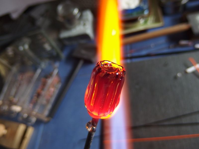 Datei:Blumenmurrini 10.jpg