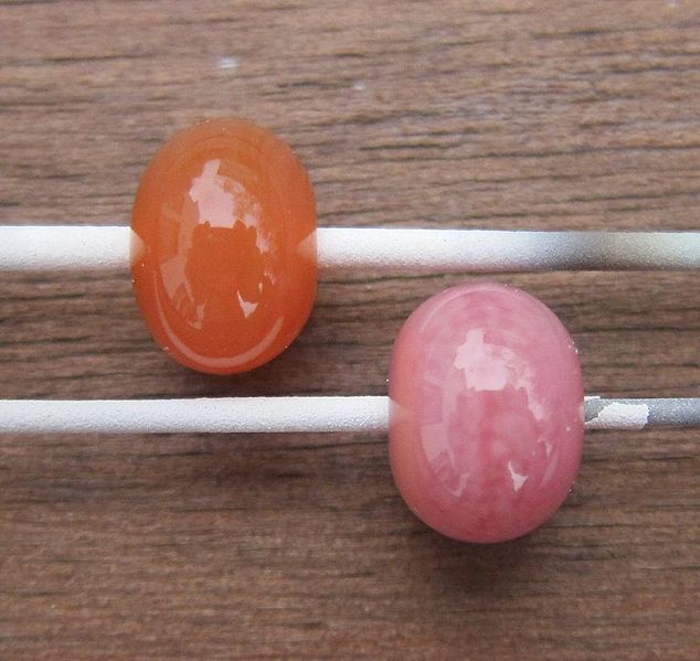 Datei:Effetrecarnelian striking.jpg
